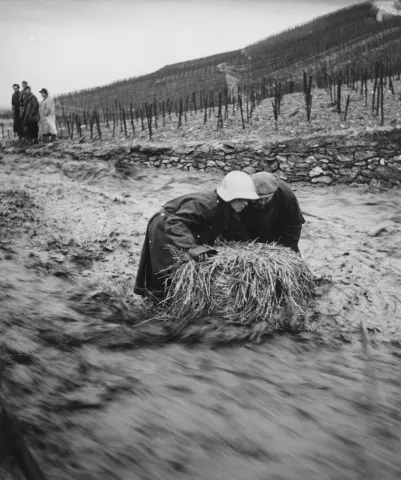 Überschwemmung in Sierre, 1955, aus: Fotostiftung Schweiz, Fotosammlung Yvan Dalain