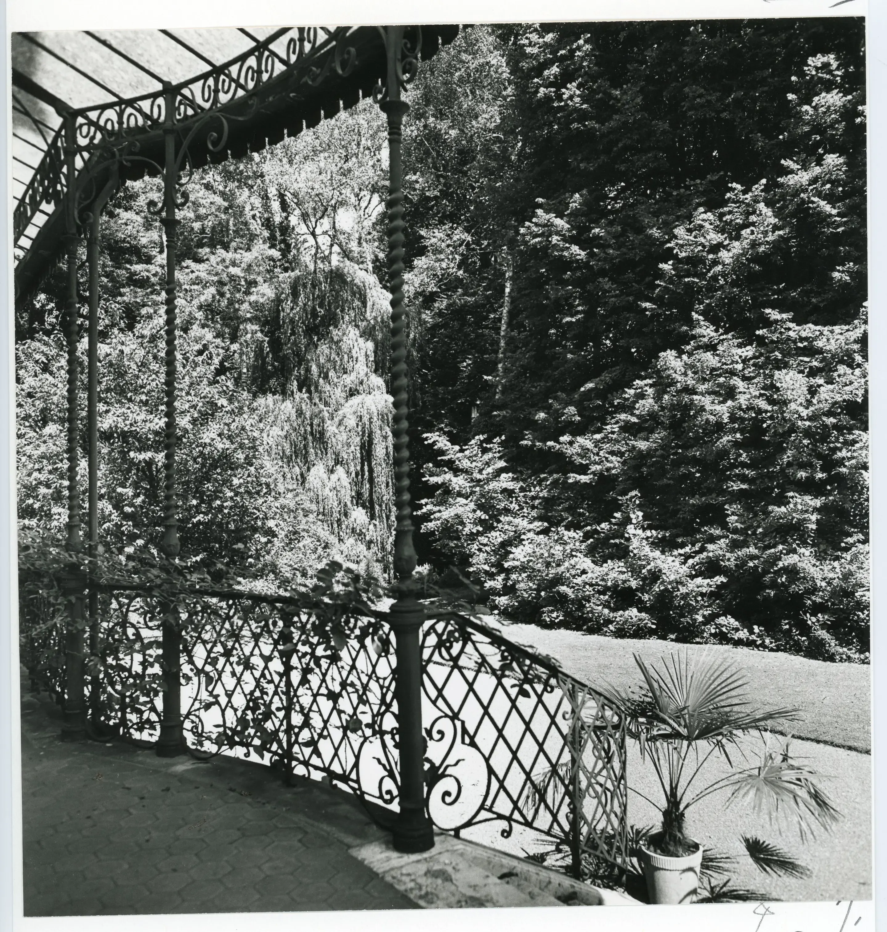 Ausblick in einen Garten © Winterthurer Bibliotheken