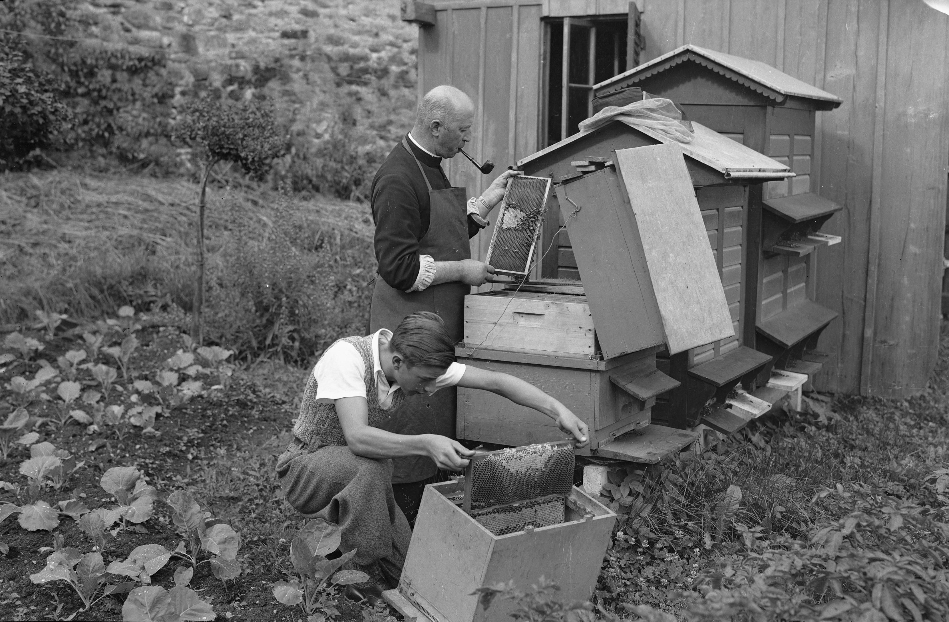 Glasson abeilles 