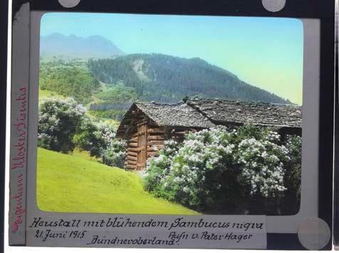 [keine Information vorhanden]
