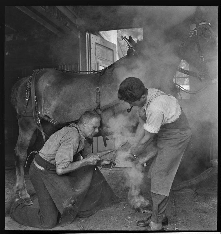 Maniscalco al lavoro. Giugno 1943. Fotografo anonimo, N/B-negativo, 6 x 6 cm.