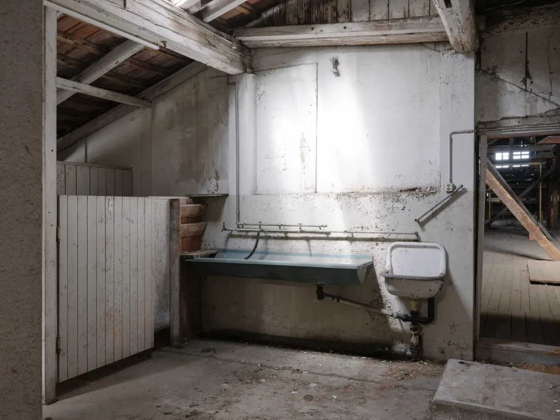 barraquements saisonniers