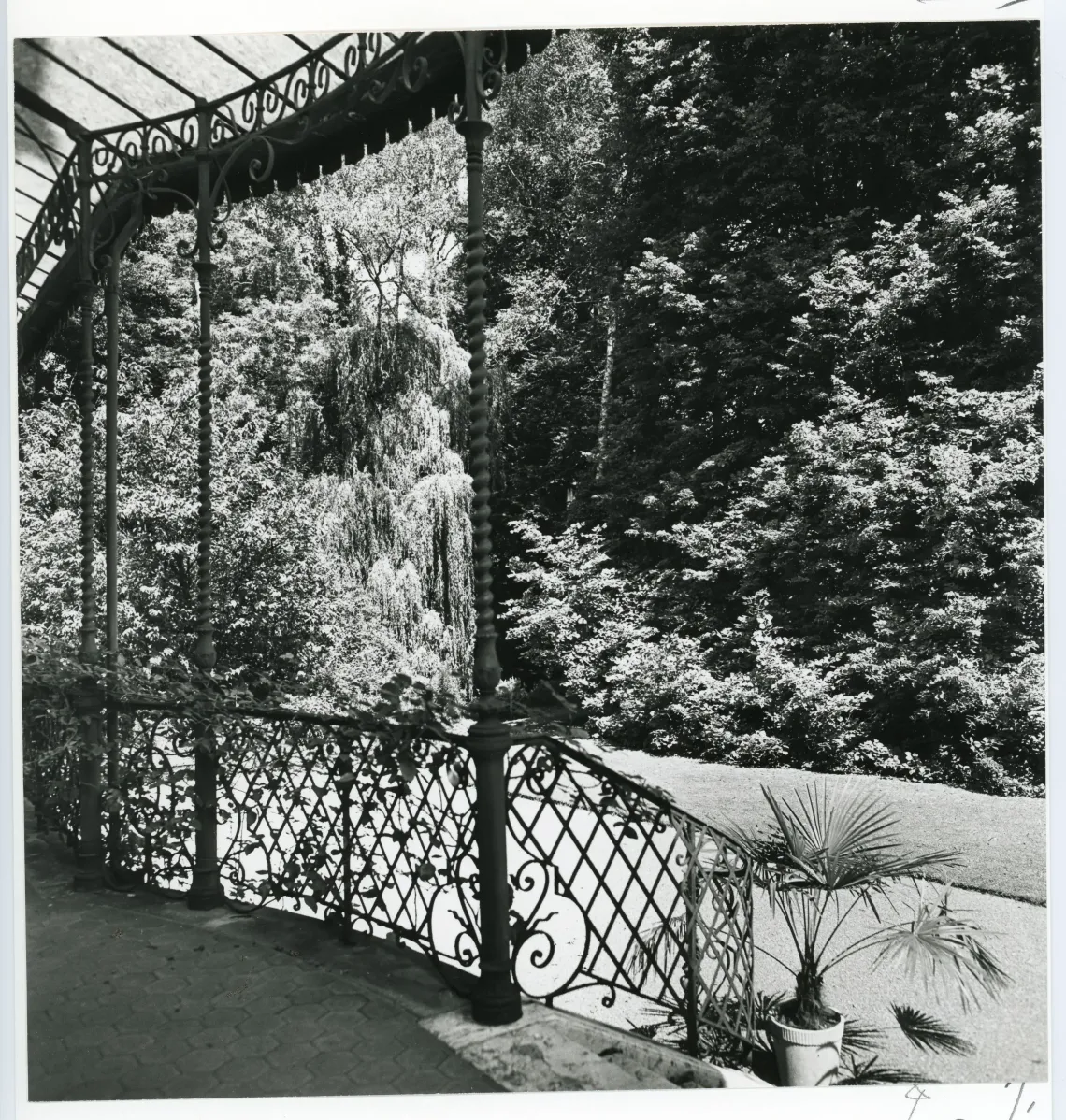  Ausblick in einen Garten © Winterthurer Bibliotheken